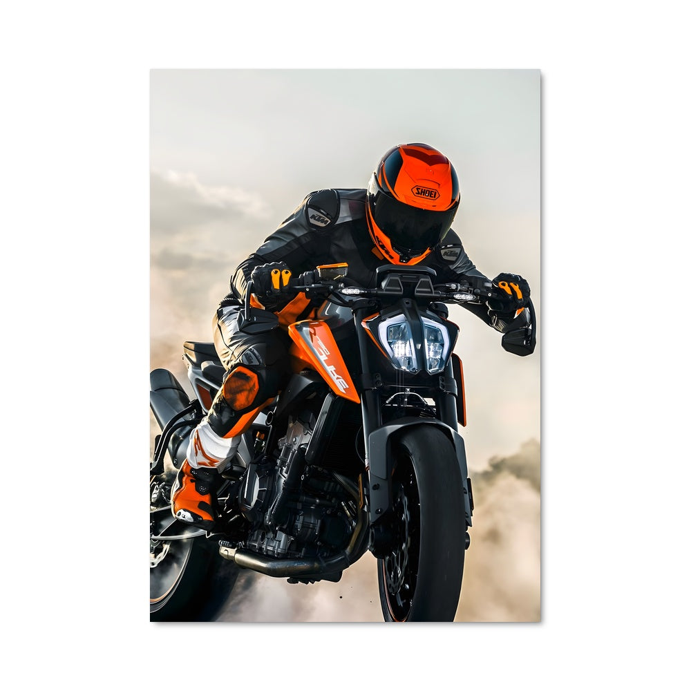 Poster 790 duke 82551