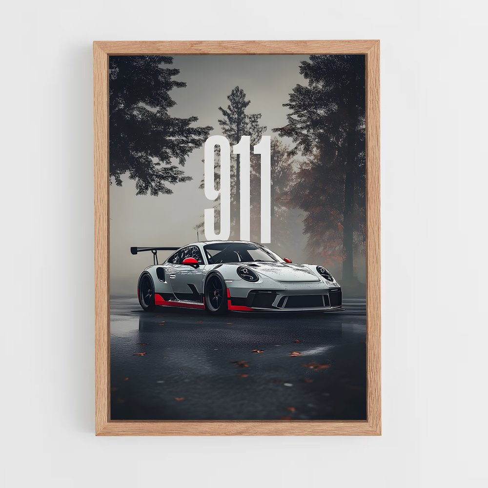 ap-911 gt3-4 cadre Bois clair