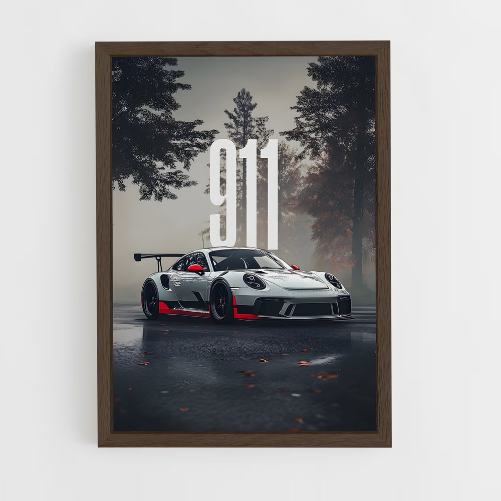 ap-911 gt3-4 cadre Bois foncé