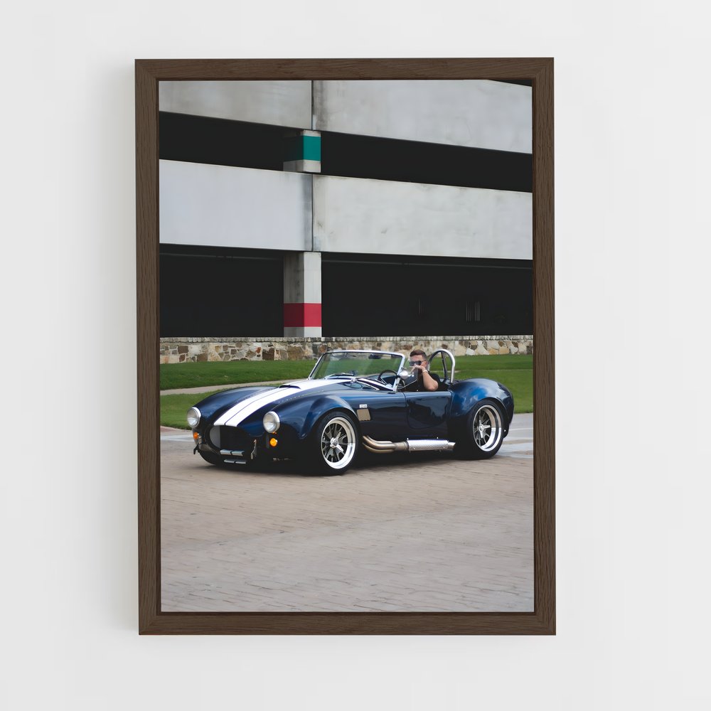ap-ac cobra-6 cadre Bois foncé