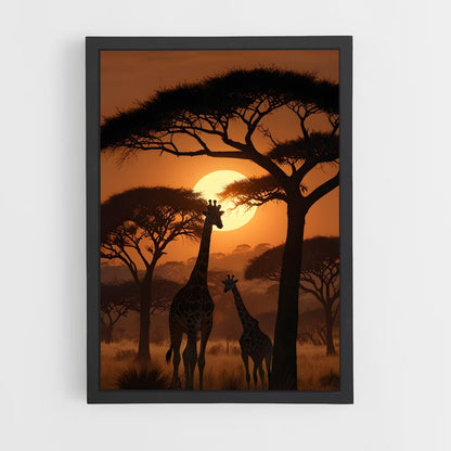 ap-acacia trees-3 cadre Noir