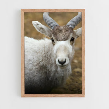 ap-addax-3 cadre Bois clair