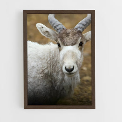ap-addax-3 cadre Bois foncé