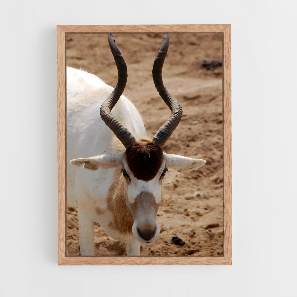 ap-addax-8 cadre Bois clair