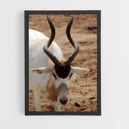 ap-addax-8 cadre Noir