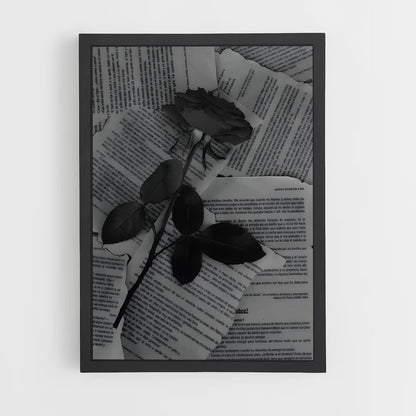 ap-aesthetics-3 cadre Noir
