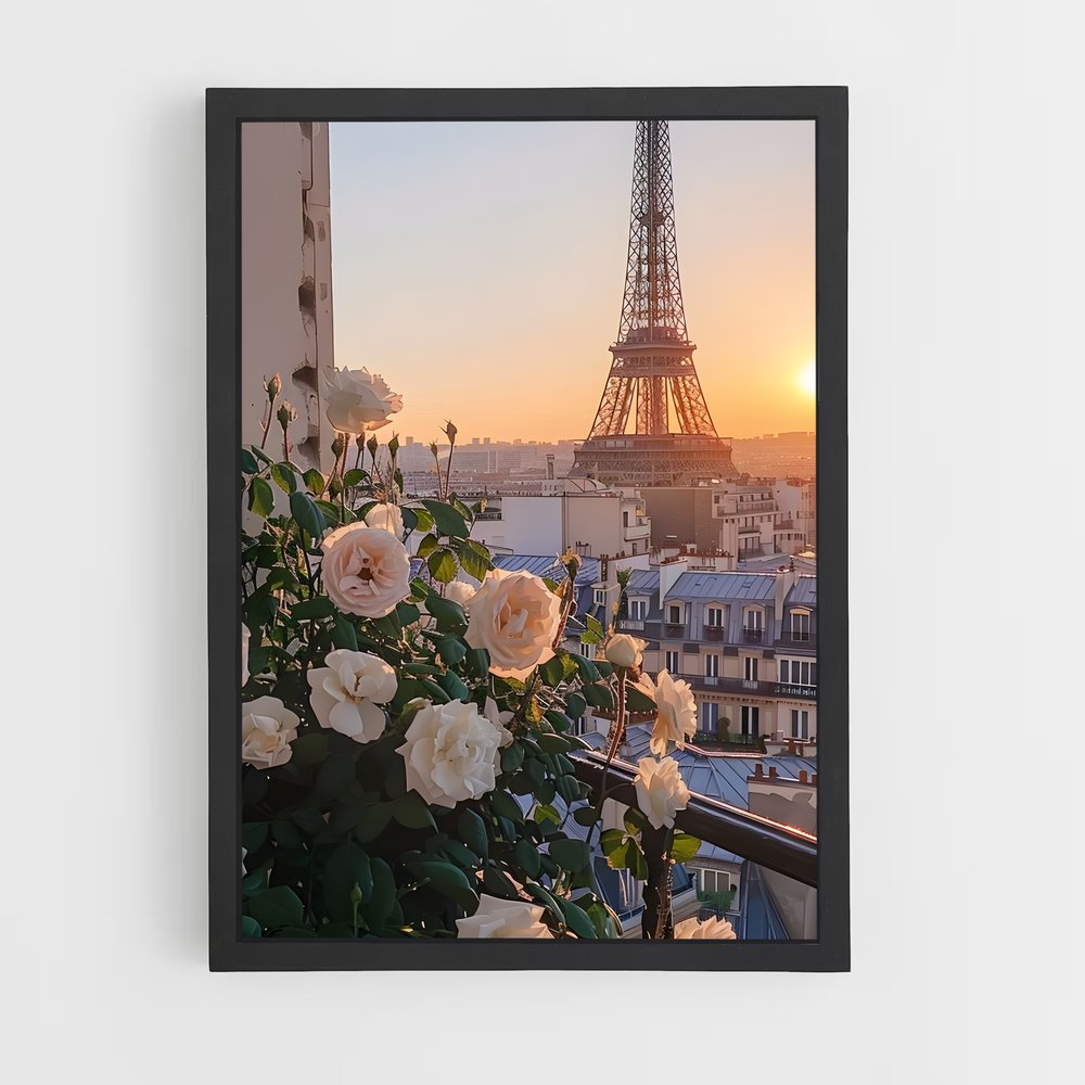 ap-aesthetics-4 cadre Noir