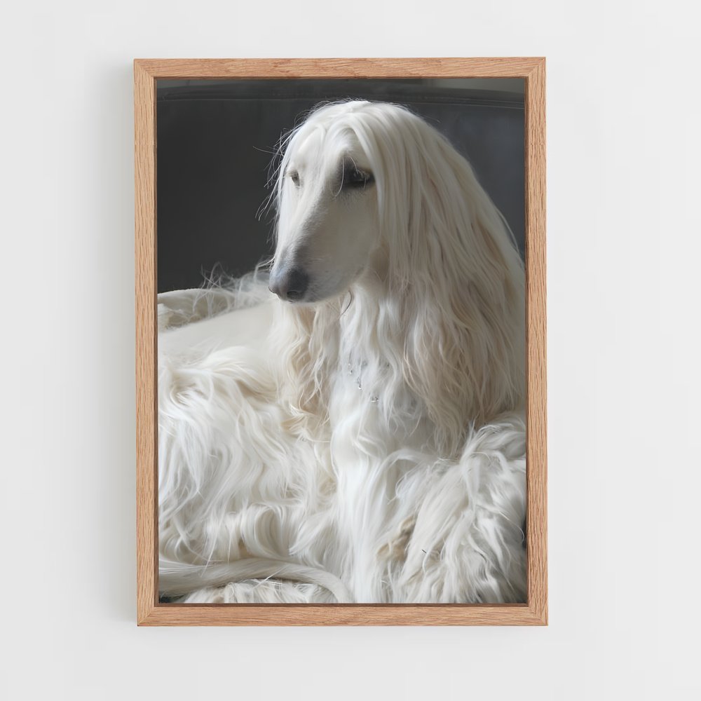 ap-afghan hound-1 cadre Bois clair