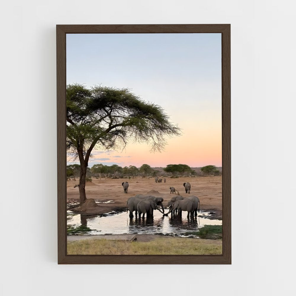 ap-africa-1 cadre Bois foncé