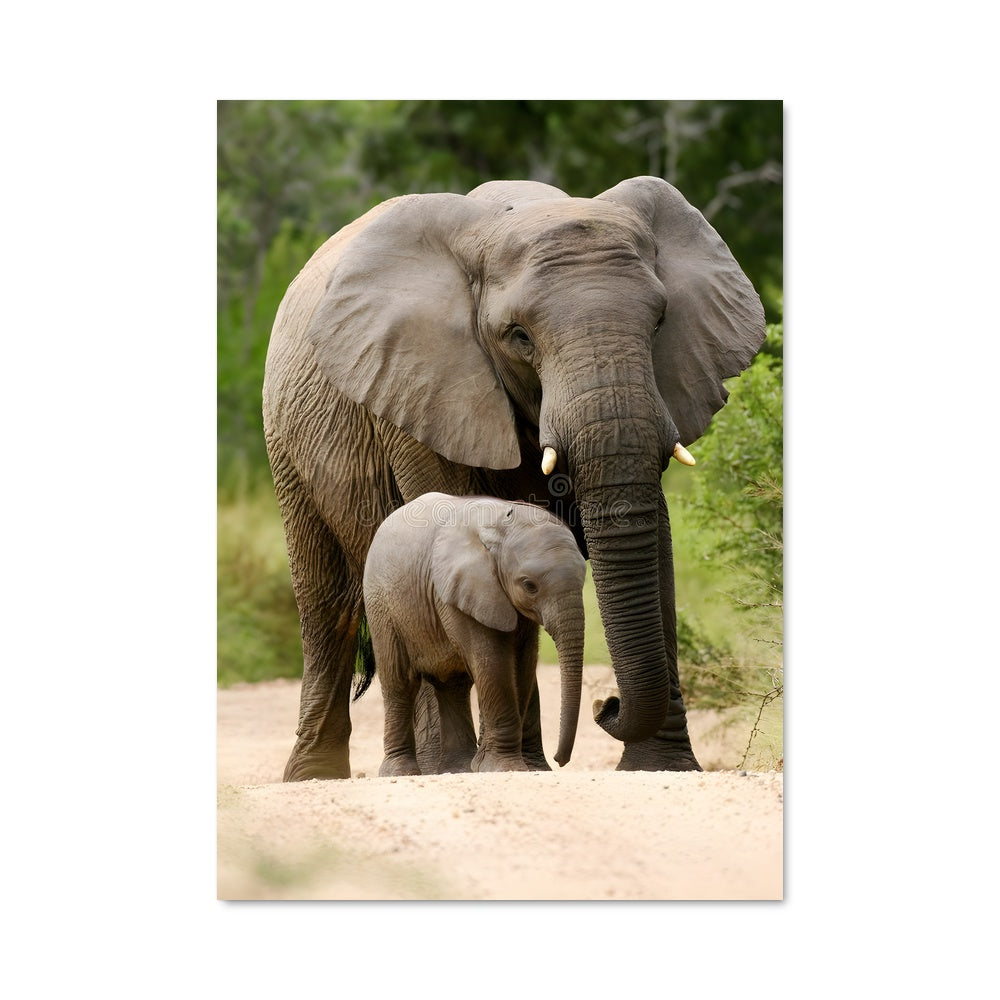 Poster À Travers la Savane