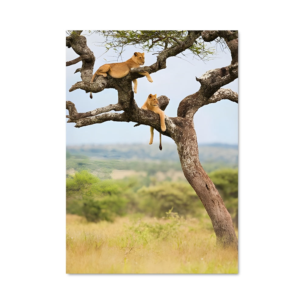 Poster African savanna 97873