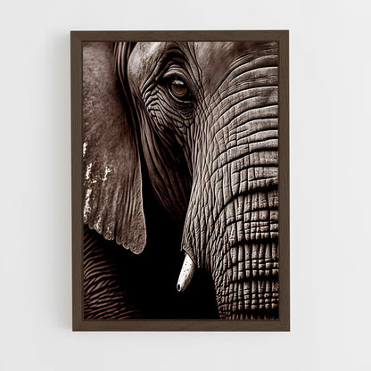 ap-african elephant-5 cadre Bois foncé