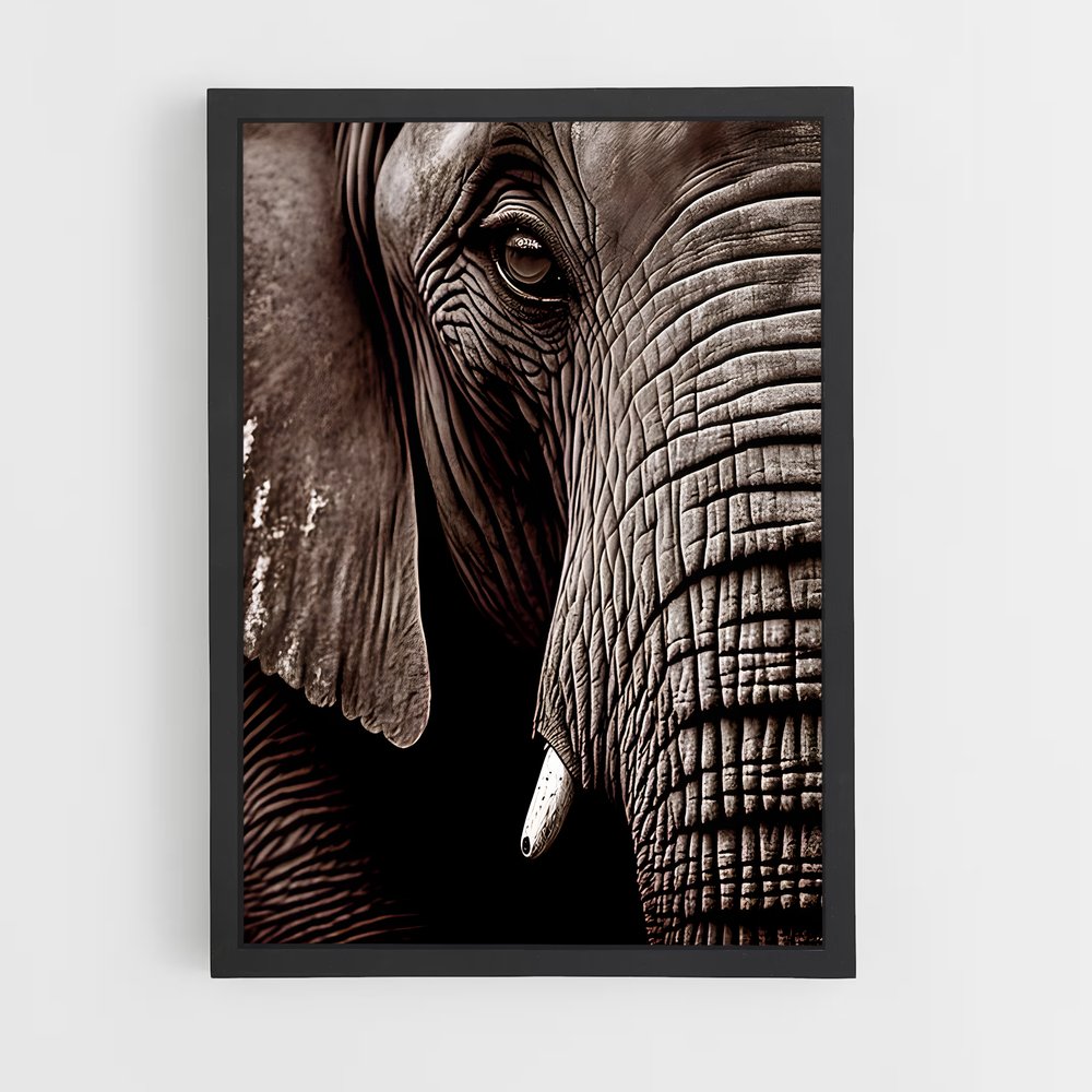 ap-african elephant-5 cadre Noir