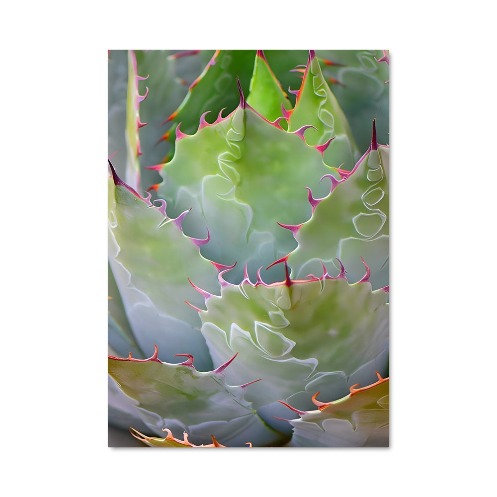 Poster Agave 96329