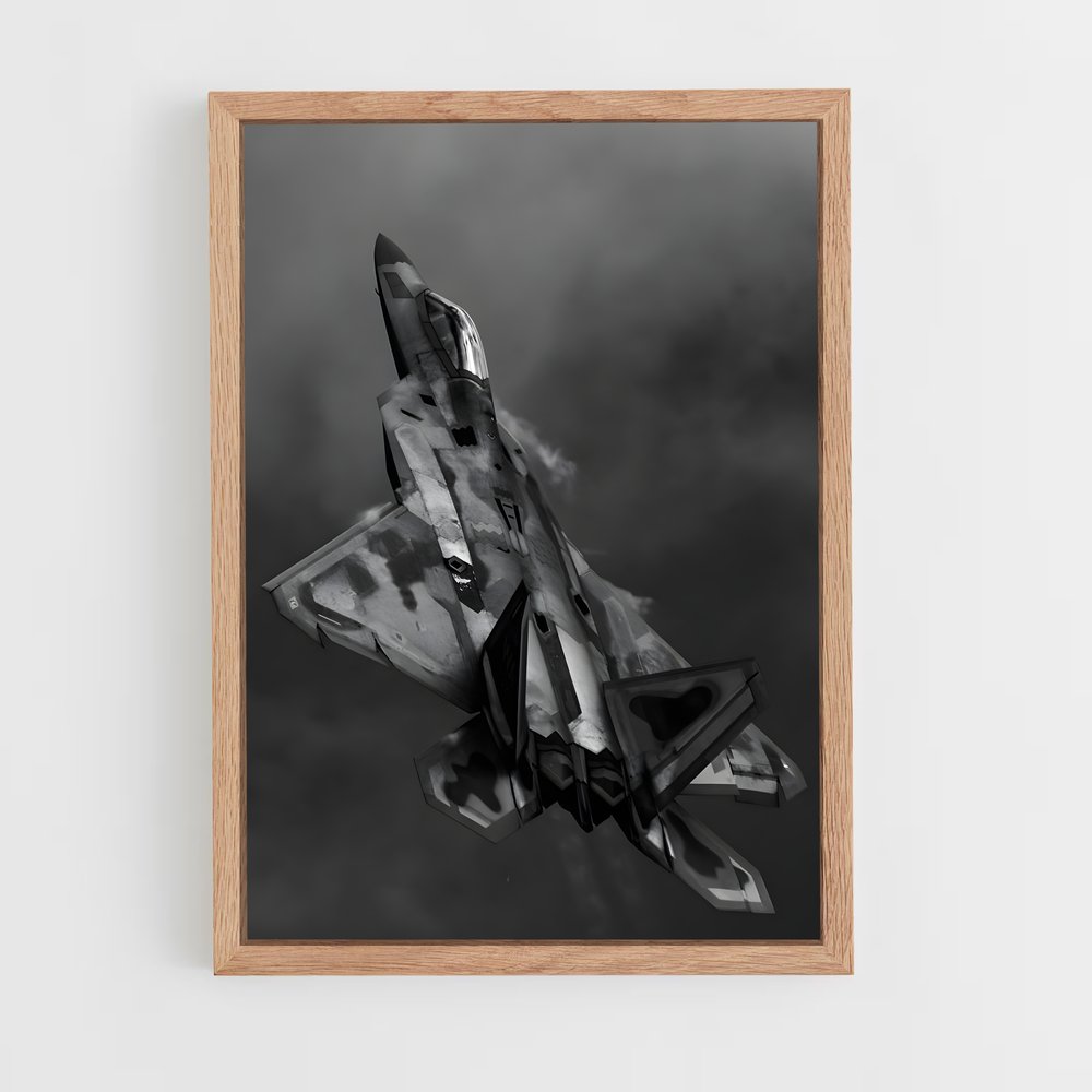 ap-air force pilot-9 cadre Bois clair