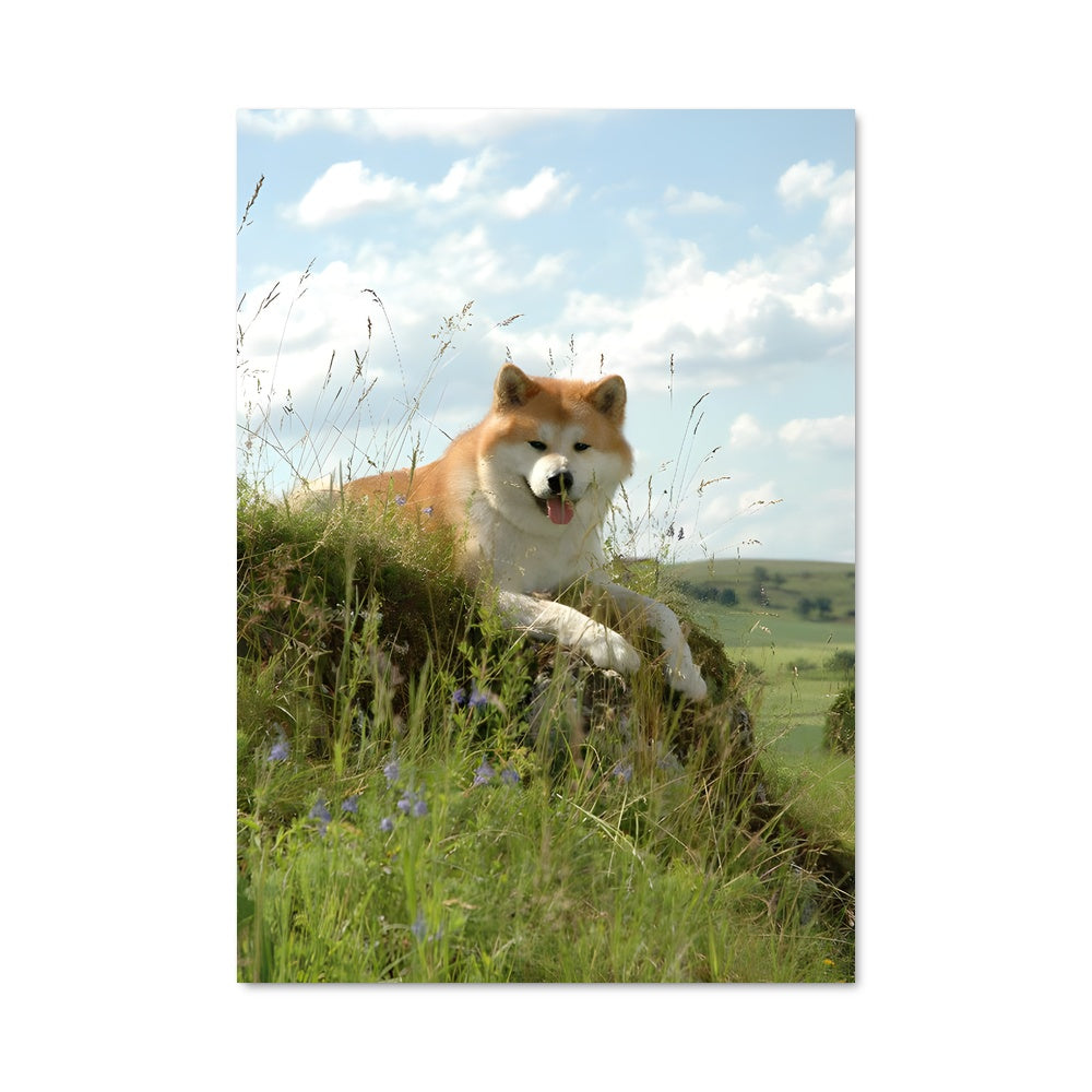 Poster Akita Détente