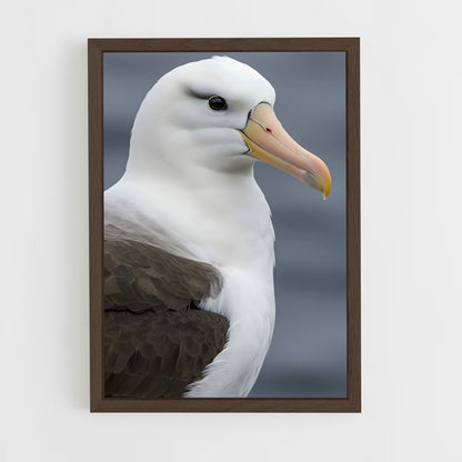 ap-albatross-1 cadre Bois foncé