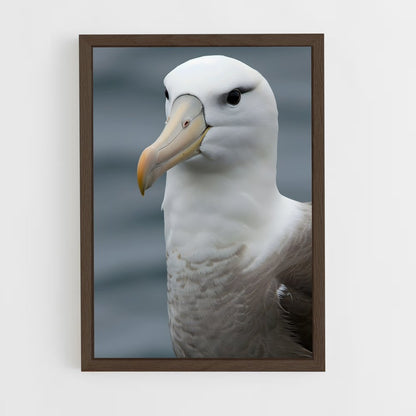 ap-albatross-4 cadre Bois foncé