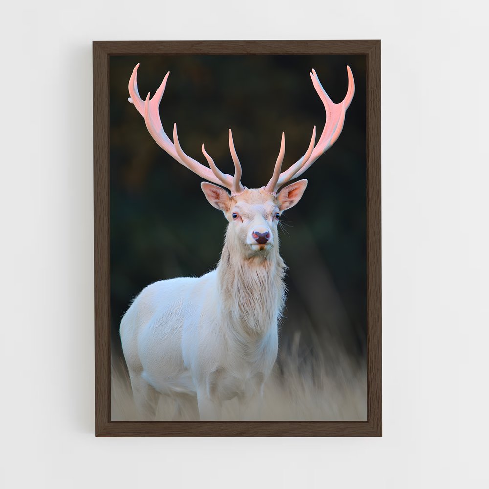 ap-albino deer-1 cadre Bois foncé