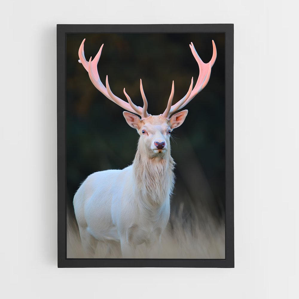 ap-albino deer-1 cadre Noir