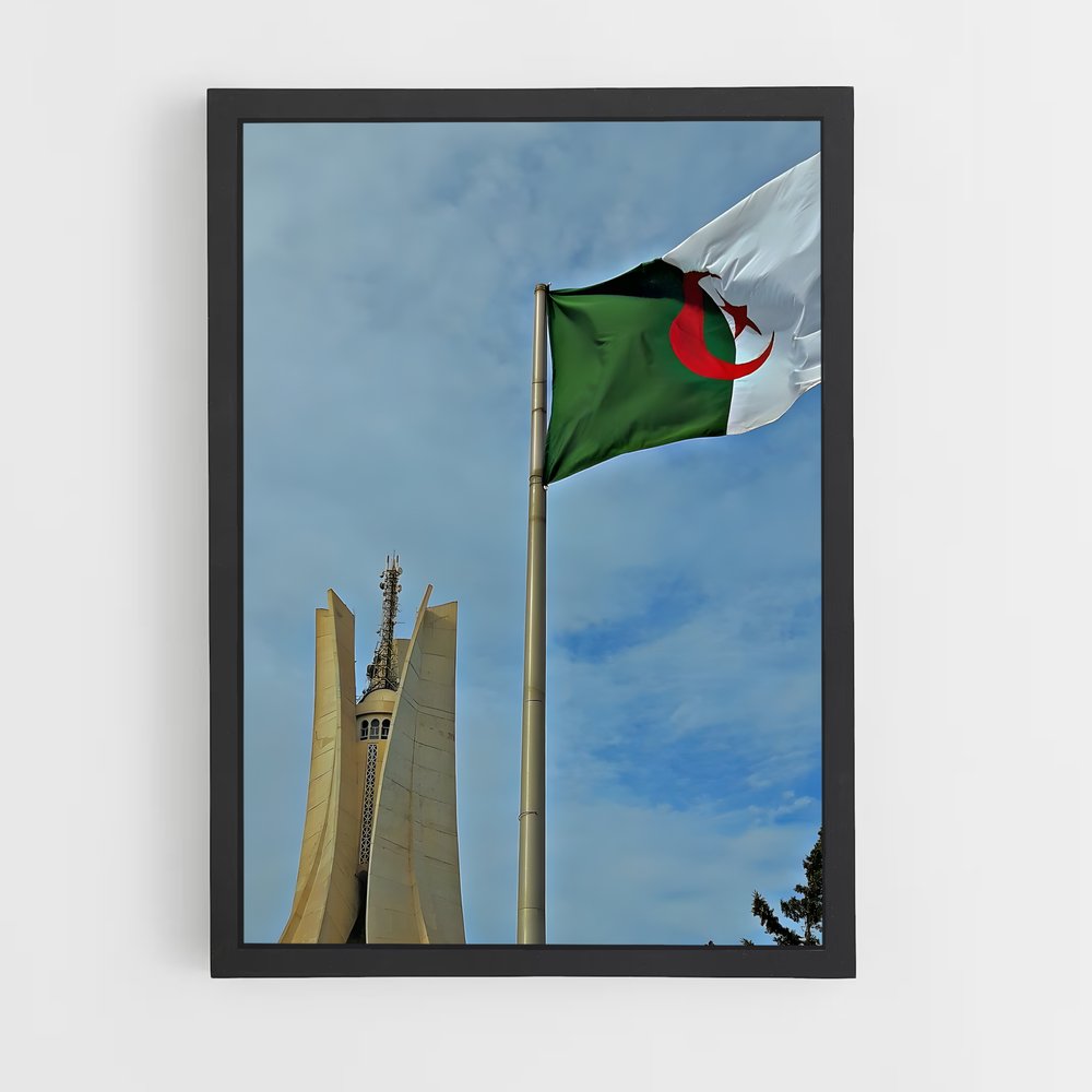 ap-algeria flag-2 cadre Noir