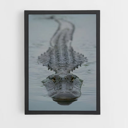 ap-alligator-2 cadre Noir