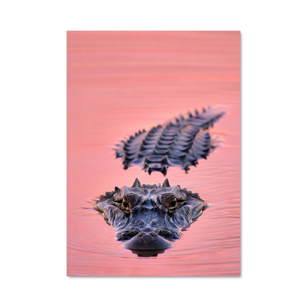 Poster Duel à la Surface