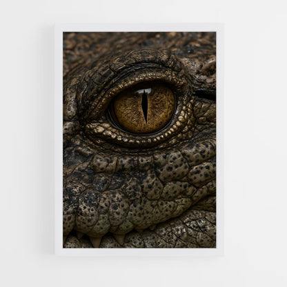 ap-alligator-7 cadre Blanc