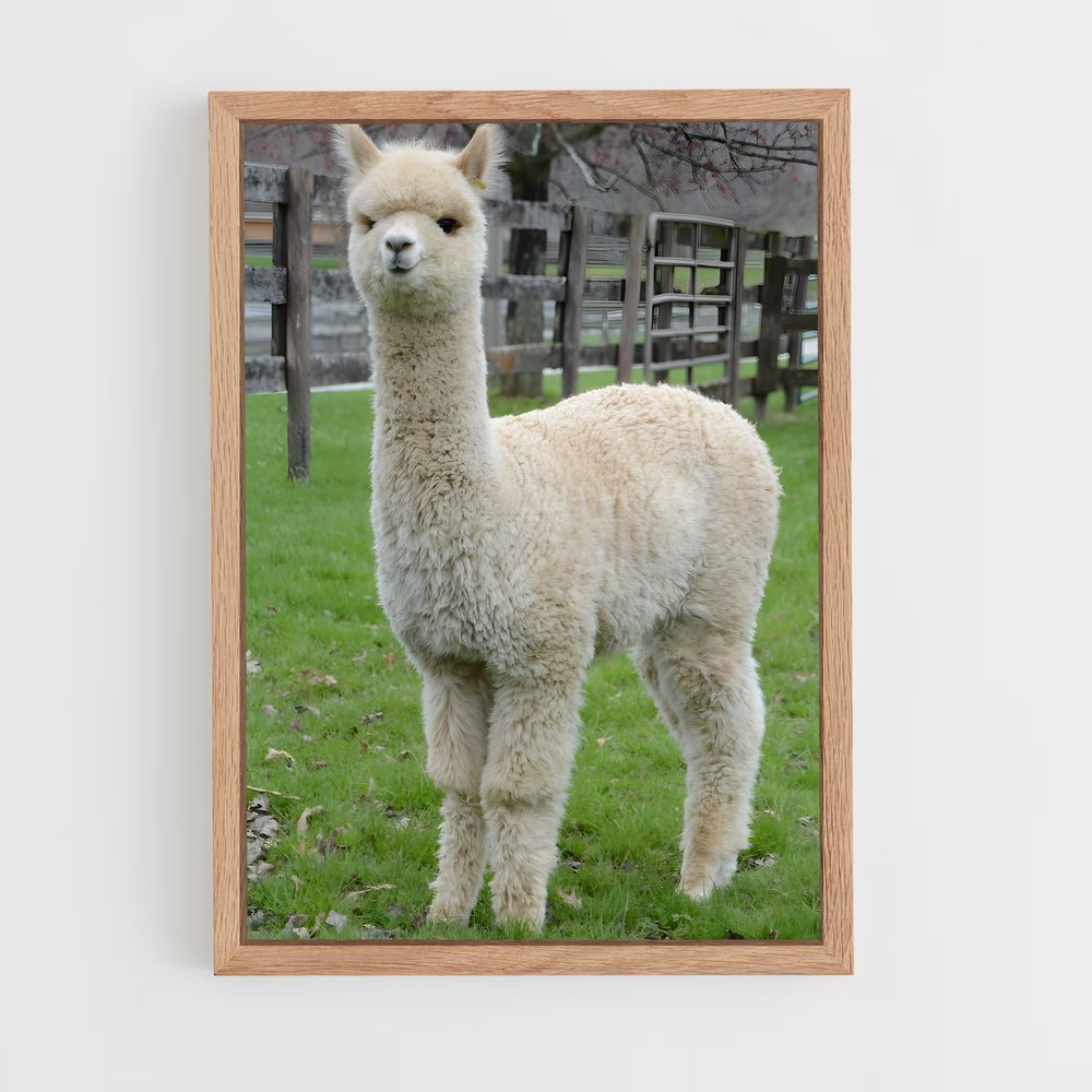 ap-alpaca-1 cadre Bois clair