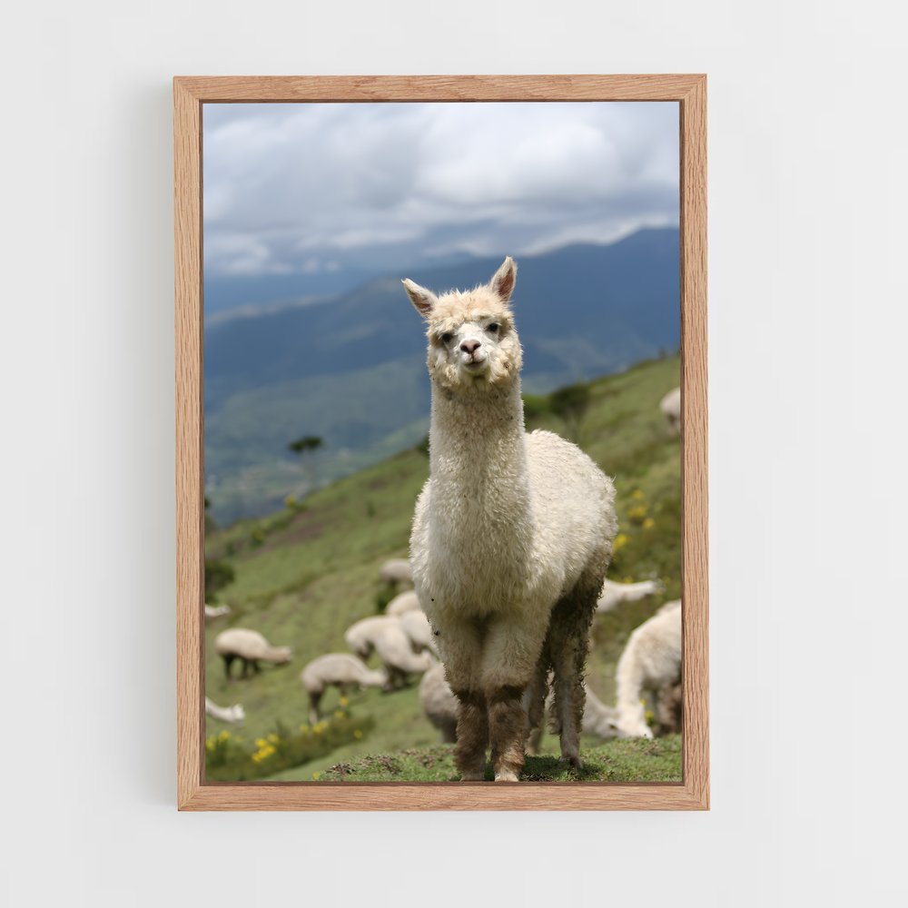 ap-alpaca-3 cadre Bois clair