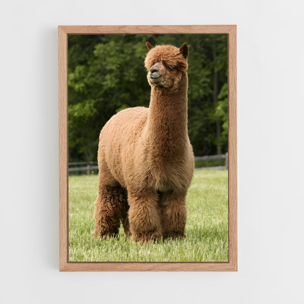ap-alpaca-4 cadre Bois clair