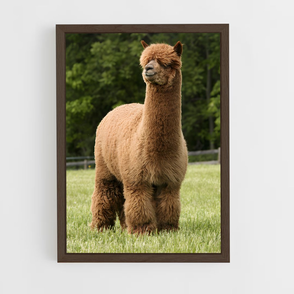 ap-alpaca-4 cadre Bois foncé