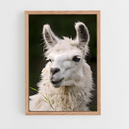 ap-alpaca-5 cadre Bois clair