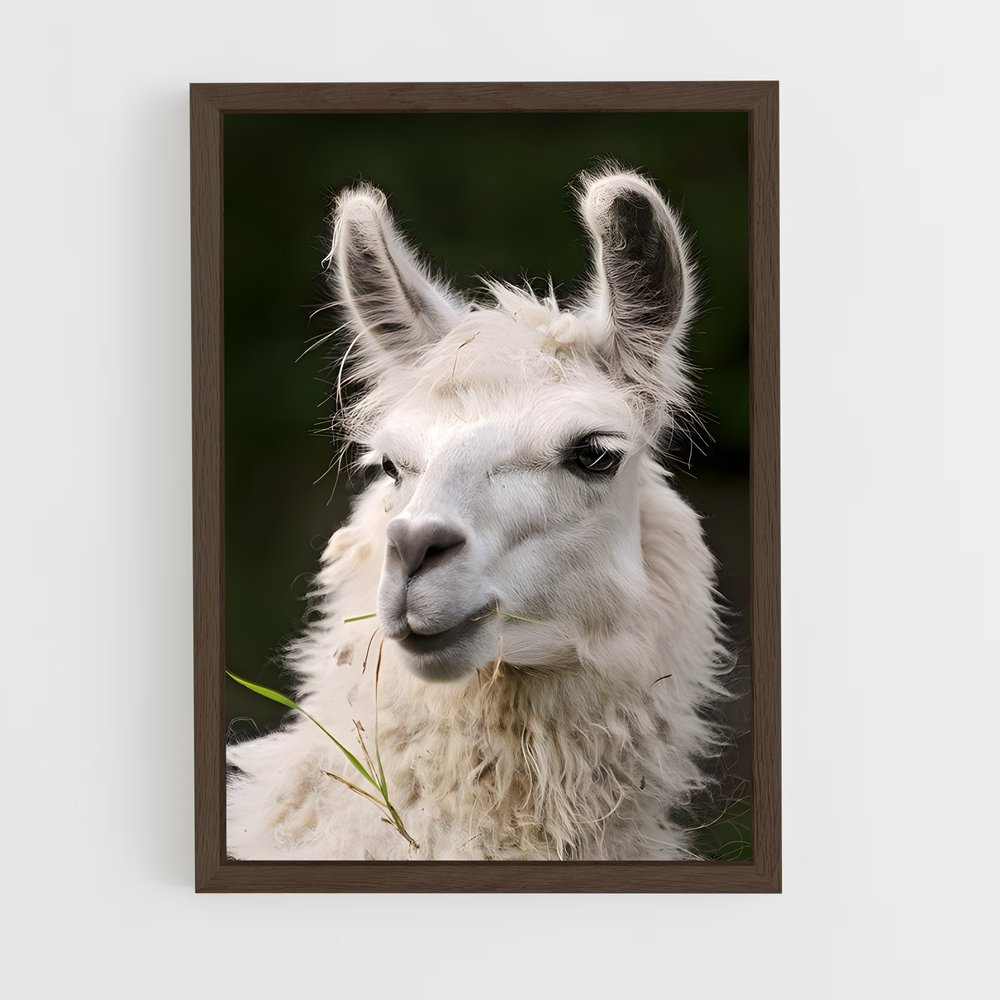 ap-alpaca-5 cadre Bois foncé