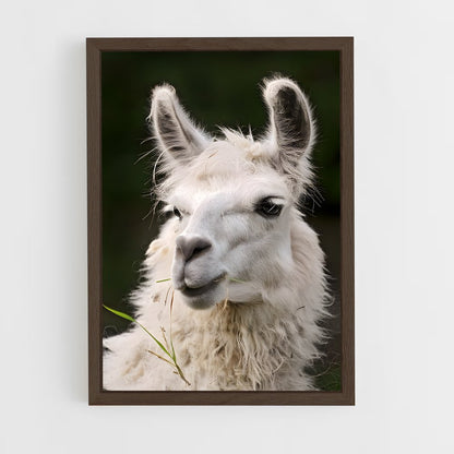 ap-alpaca-5 cadre Bois foncé