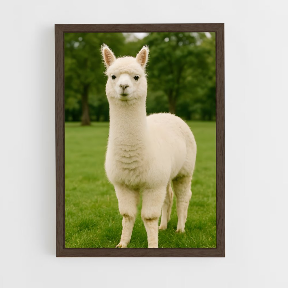 ap-alpaca-6 cadre Bois foncé
