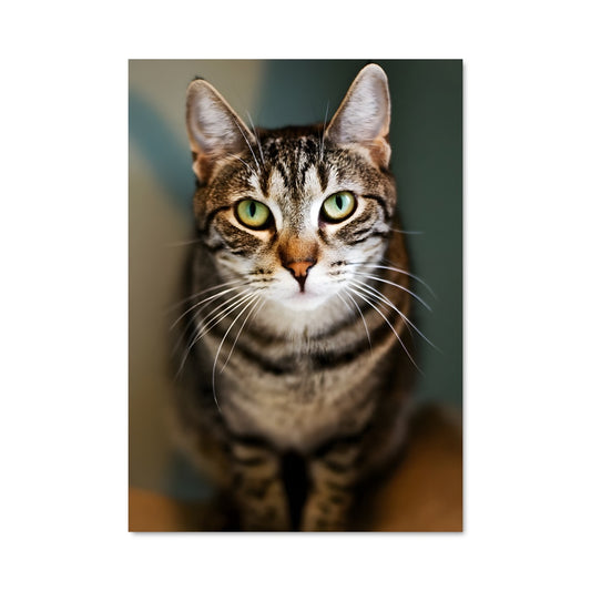 Poster Chat Émeraude