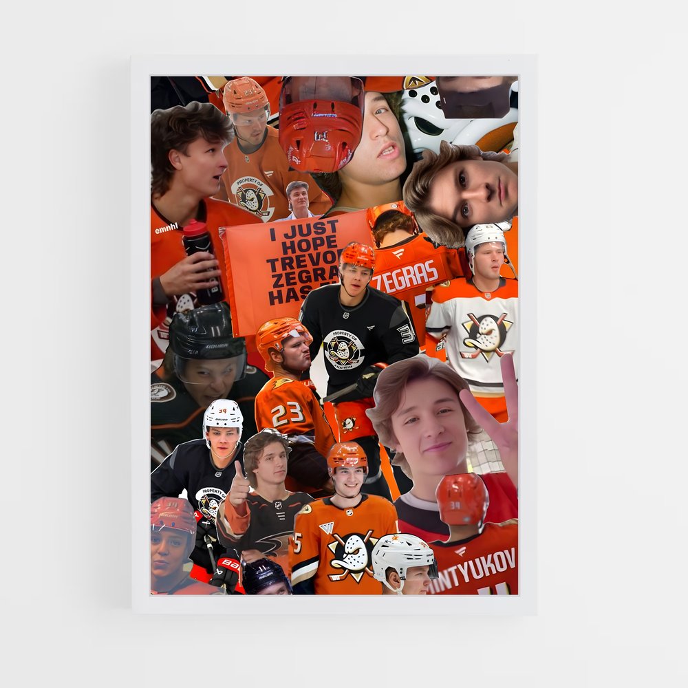 ap-anaheim ducks-11 cadre Blanc