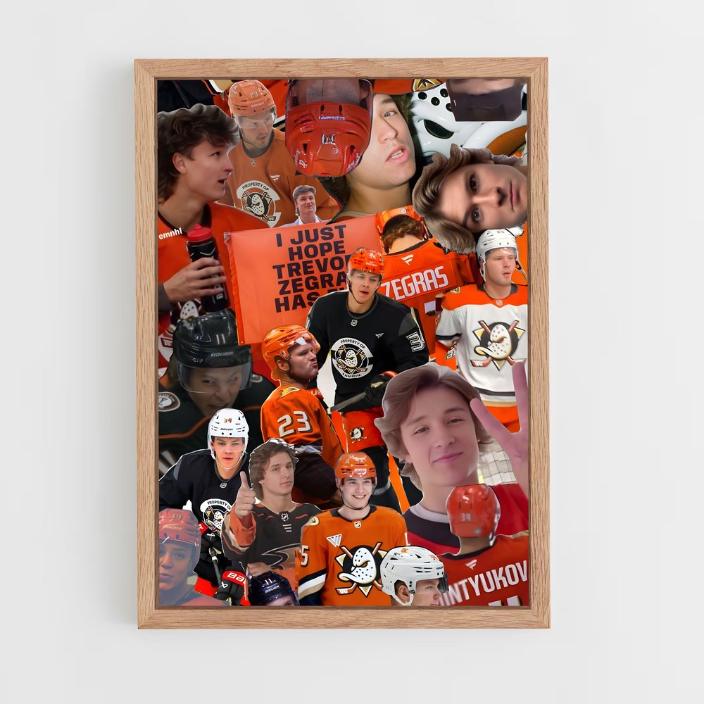 ap-anaheim ducks-11 cadre Bois clair