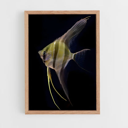 ap-angelfish-5 cadre Bois clair