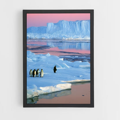 ap-antarctica-3 cadre Noir