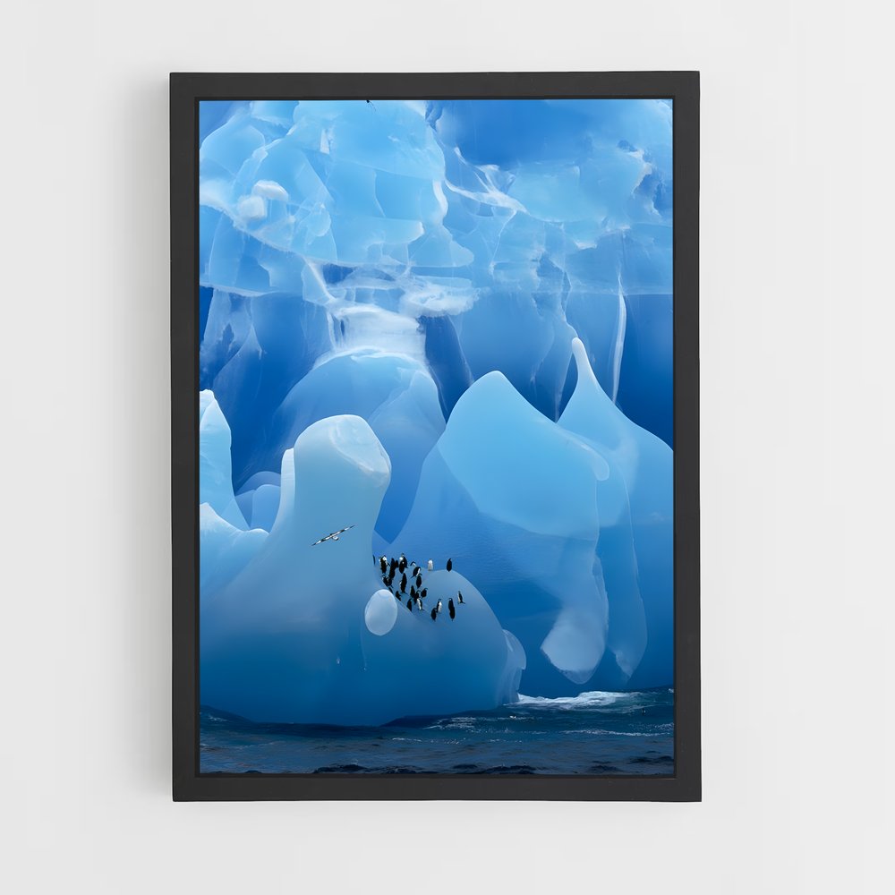 ap-antarctica-5 cadre Noir