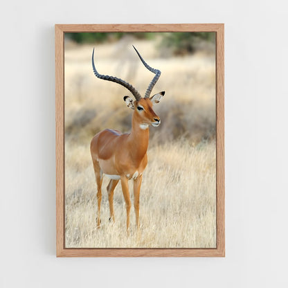 ap-antelope-1 cadre Bois clair
