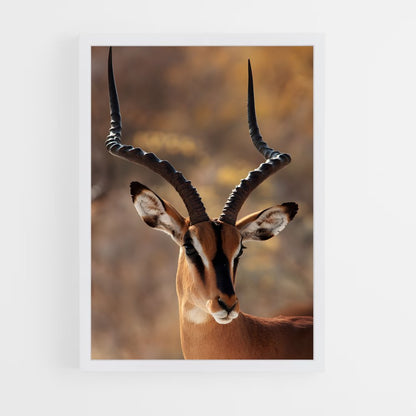 ap-antelope-2 cadre Blanc