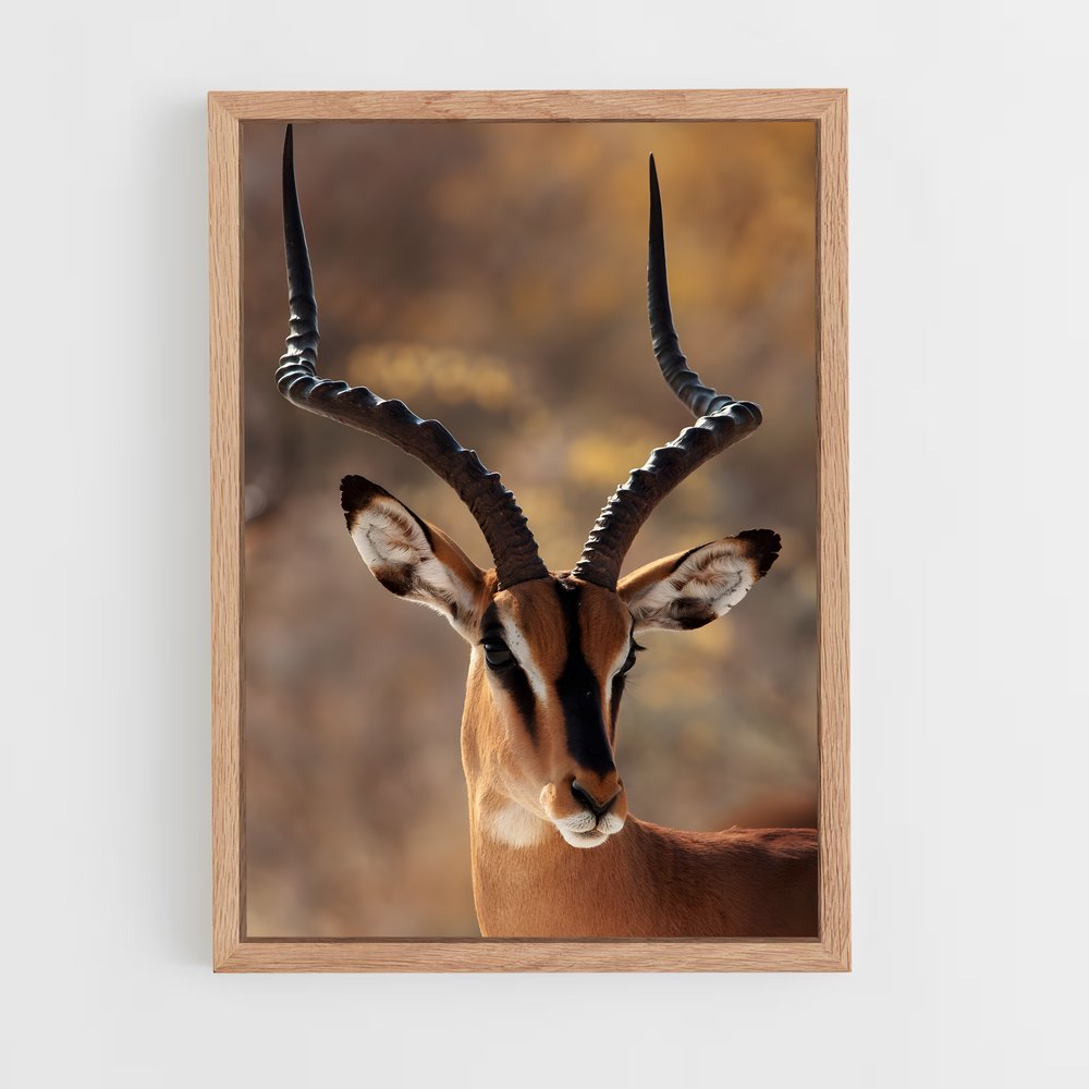 ap-antelope-2 cadre Bois clair
