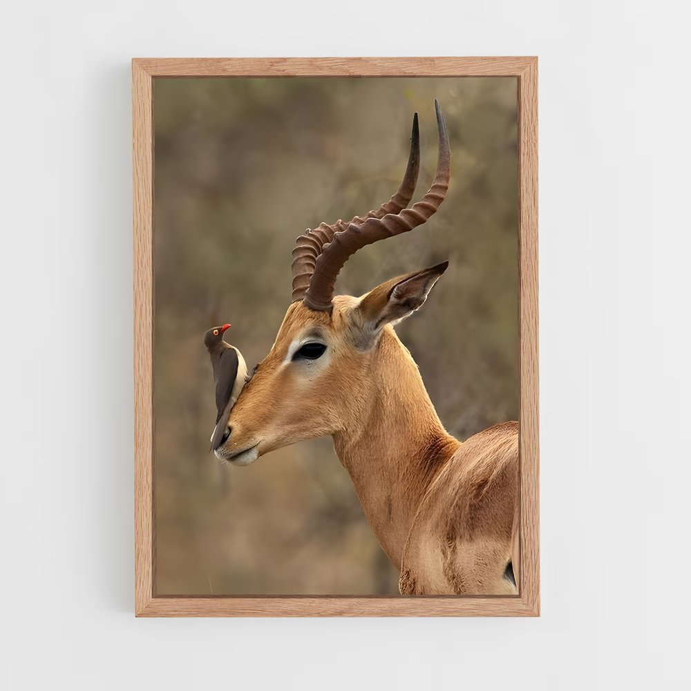 ap-antelope-4 cadre Bois clair