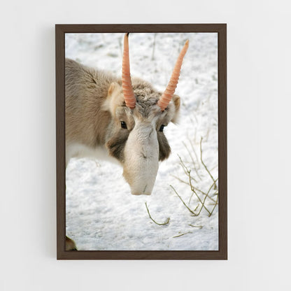 ap-antelope-8 cadre Bois foncé