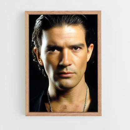 ap-antonio banderas-1 cadre Bois clair