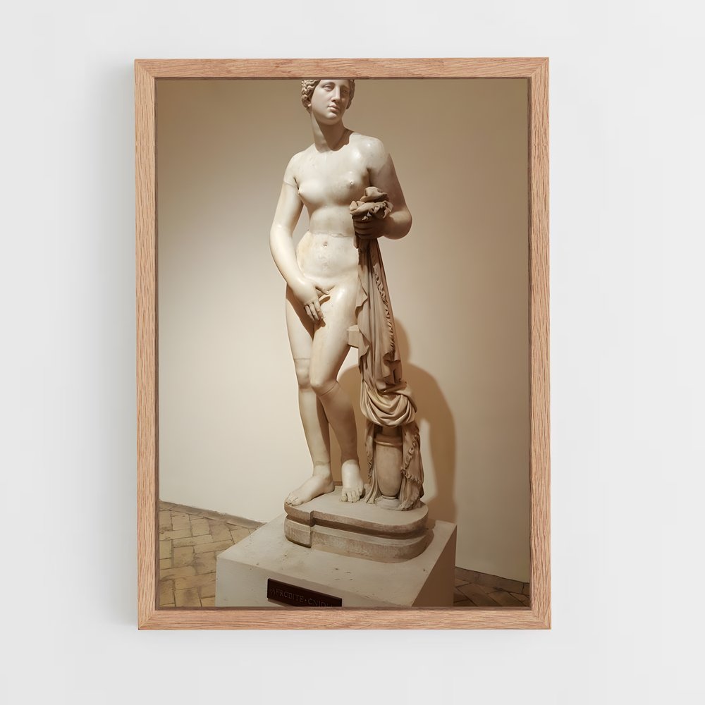 ap-aphrodite of knidos-1 cadre Bois clair