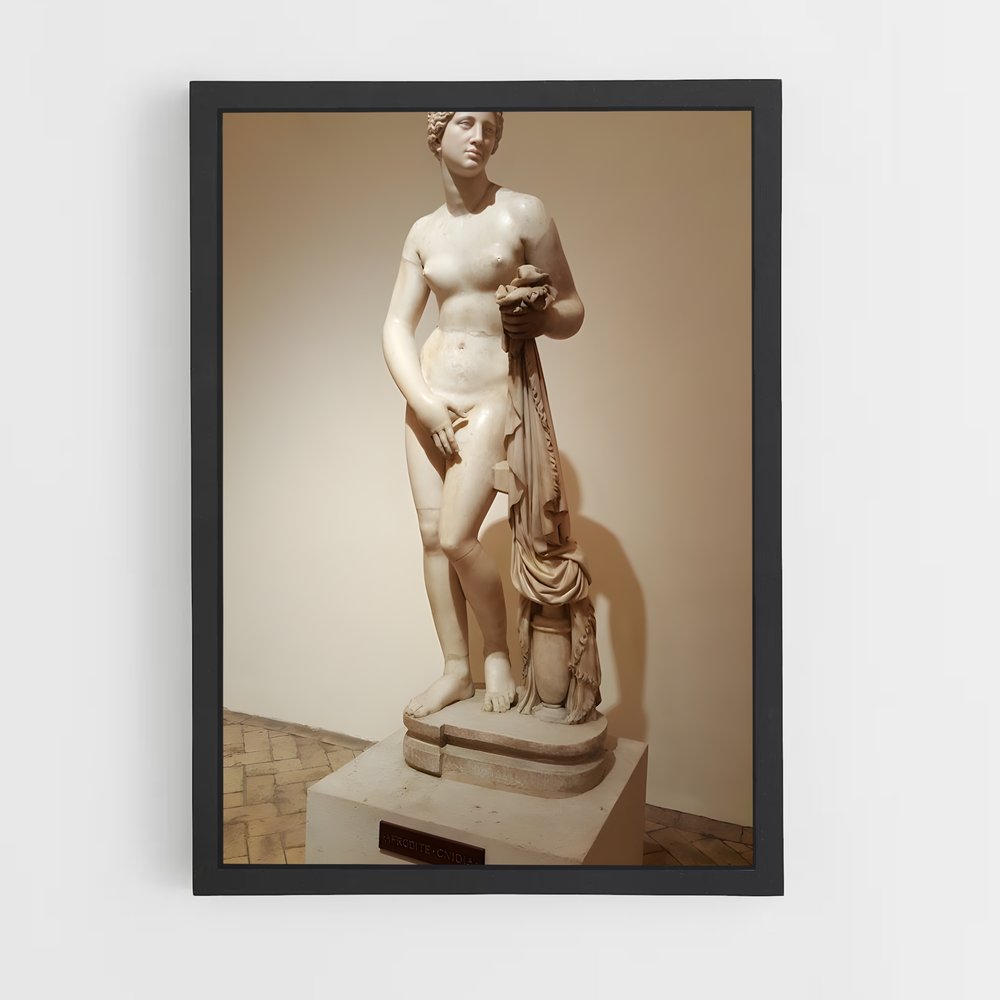 ap-aphrodite of knidos-1 cadre Noir